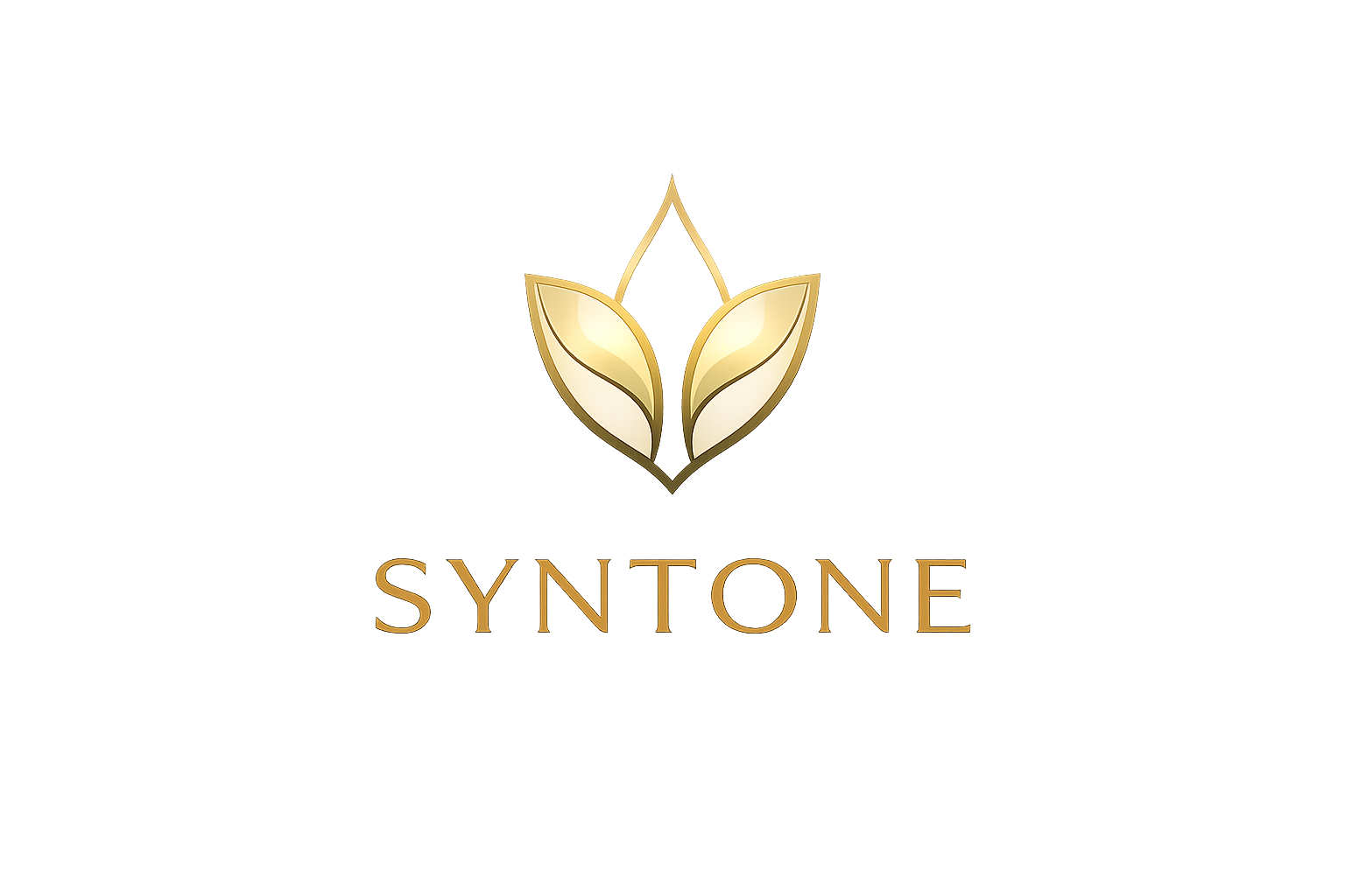 Syntone connect