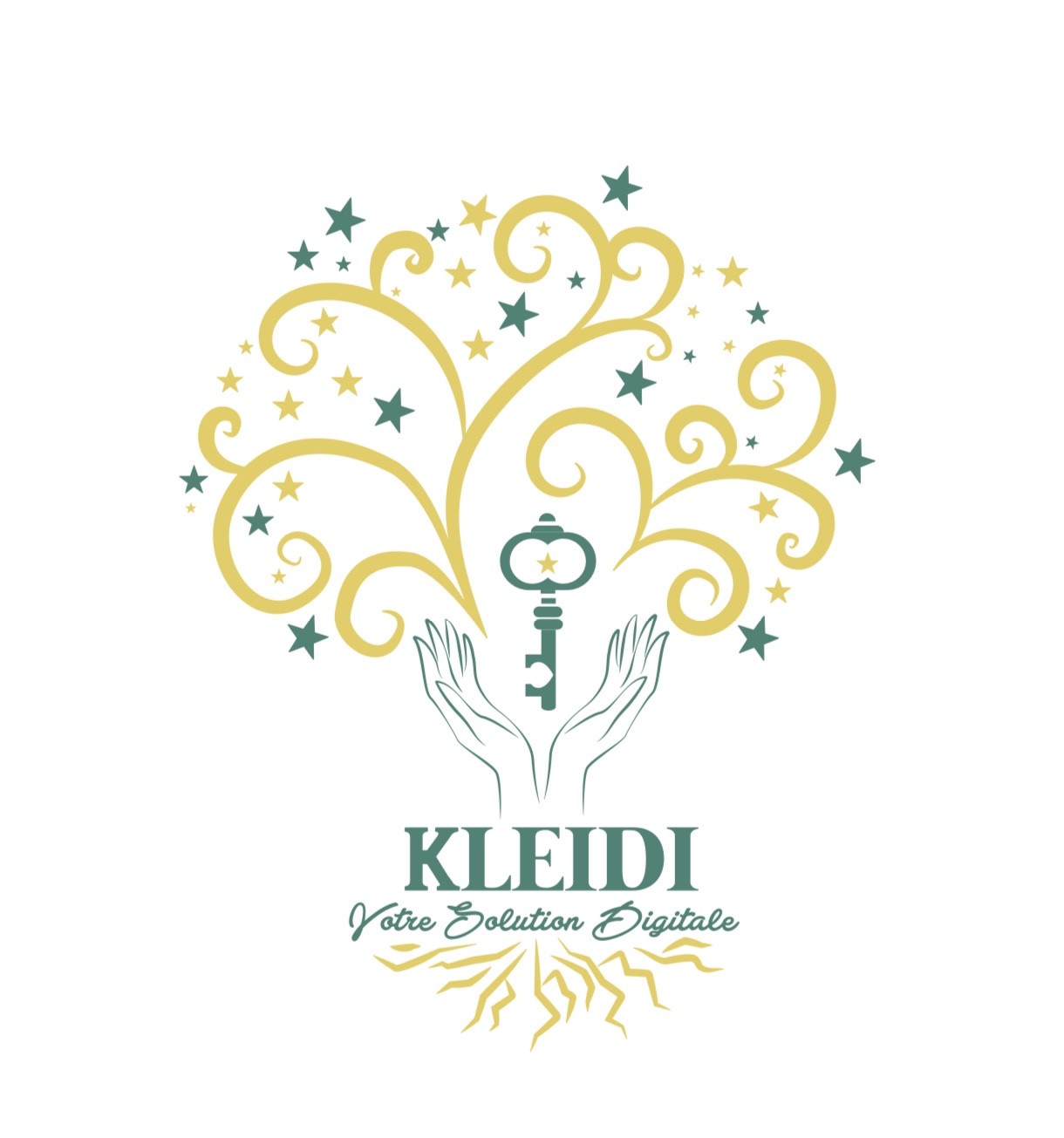 KLEIDI SOLUTION RH